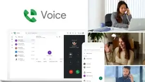 Google Voice Feature