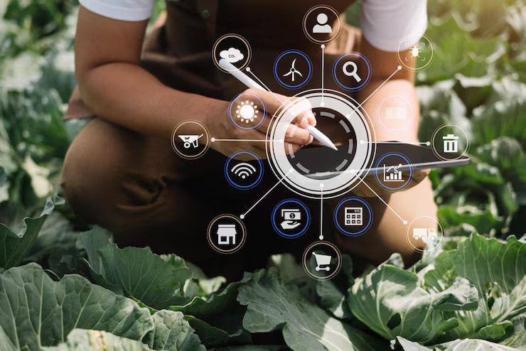 IoT چیست